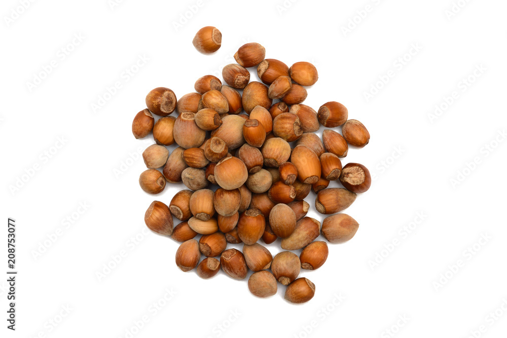 a bunch of hazelnuts on a white background a bunch of hazelnuts on a white background