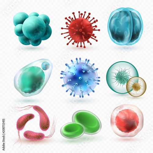 Various microscopic 3d bacteria and viruses. Microbiology vector bacterium cells isolated