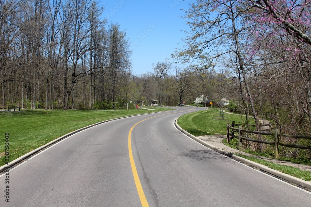 Fototapeta premium The winding empty road in the park on a sunny day.