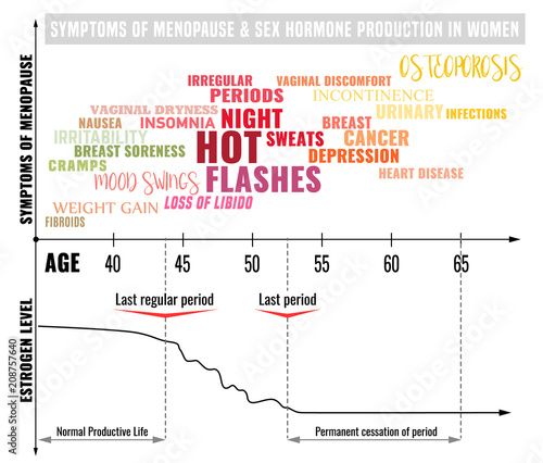 Stages of Menopause Infographic