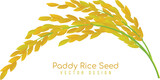 Yellow paddy rice seed vector design