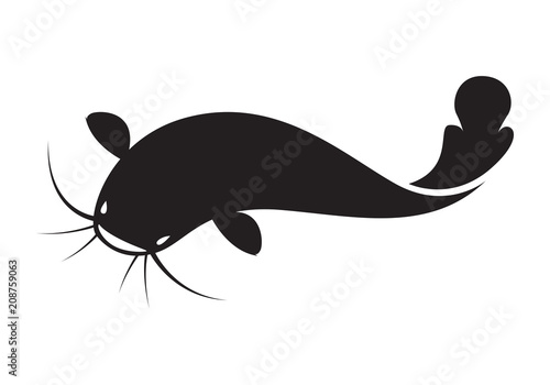 graphic catfish, vector
