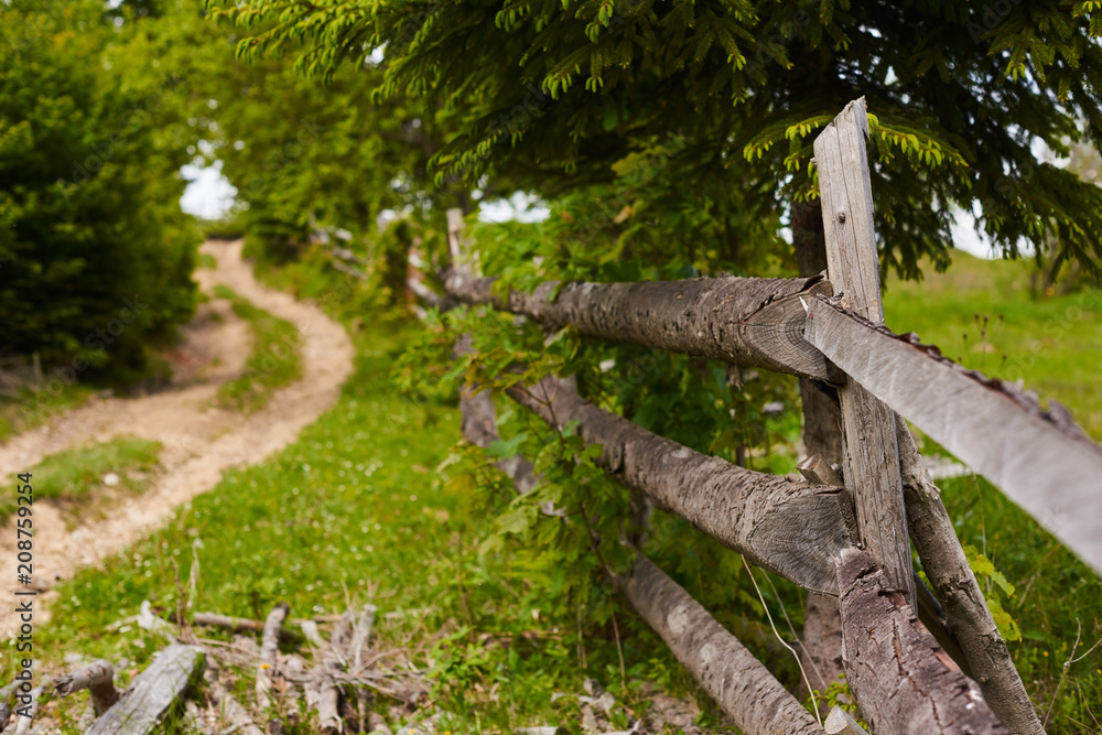 beautiful landscape of the green fields with wooden fence. the road along the fence leading to the country beautiful landscape of the green fields with wooden fence. the road along the fence leading to the country