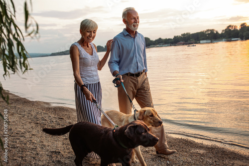 Photography Enjoying a day out with their dogs