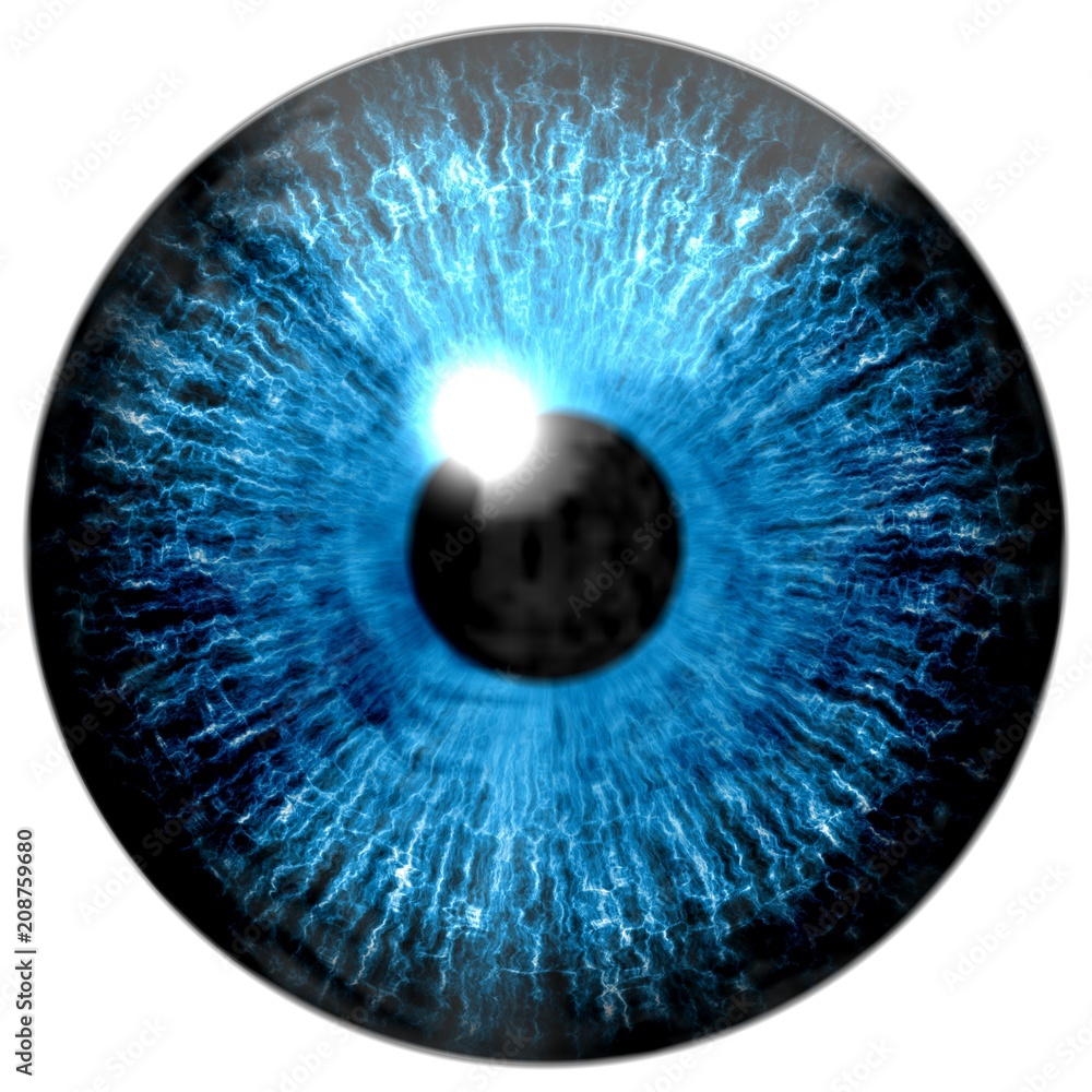 Blue eye texture with black fringe and white background Stock Illustration  | Adobe Stock