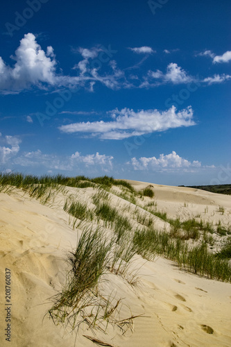 Les dunes d l ile d Ol  ron