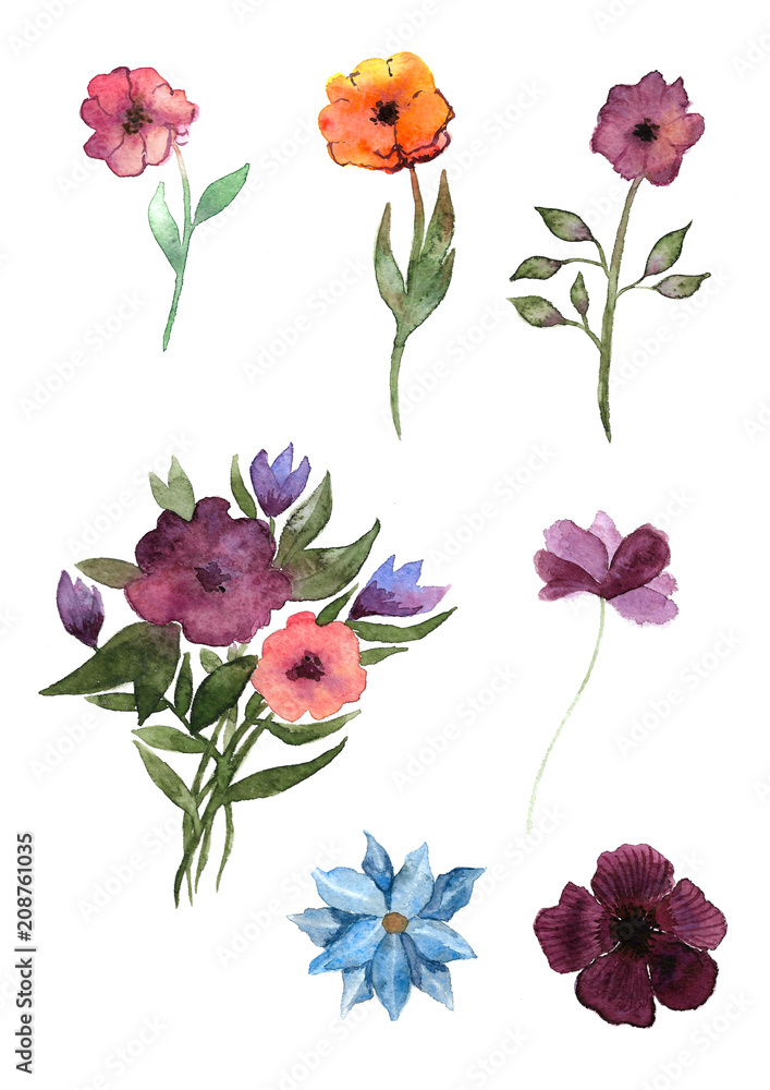 Иллюстрация Цветы.  Акварель.
Watercolor illustration Flowers. Hand drawn