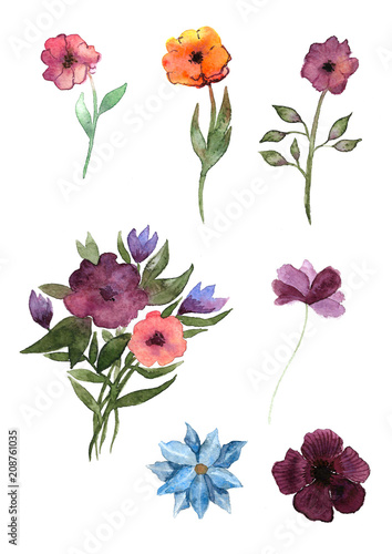                                  .                  .  Watercolor illustration Flowers. Hand drawn