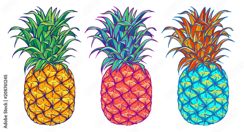 Pineapple vector illustration set. Exotic tropical fruit. Hand drawn. Pop  art. Stock Vector | Adobe Stock