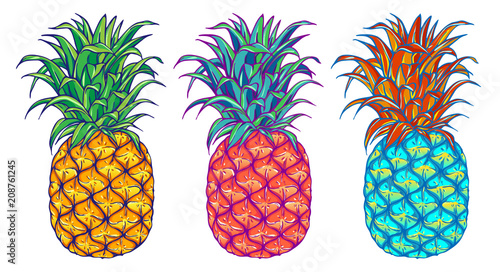 Pineapple vector illustration set. Exotic tropical fruit. Hand drawn. Pop art. 