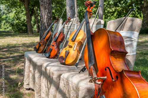 nd nature concept. String instruments, one cello and three violins on the ceremonial chairs in nature. 