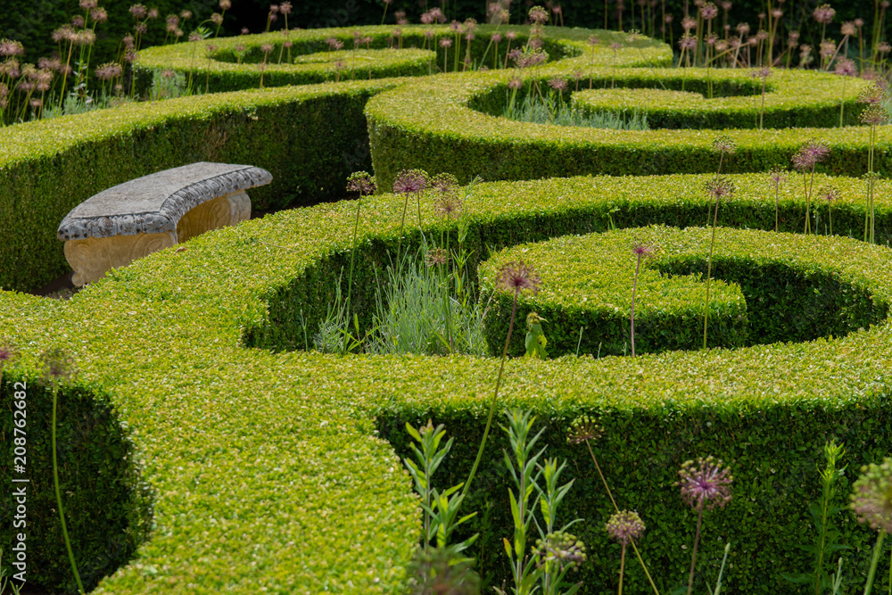Curly and ornate garden privet hedge Curly and ornate garden privet hedge