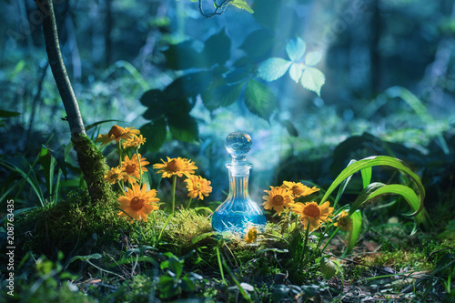 Magic potion in bottle in forest