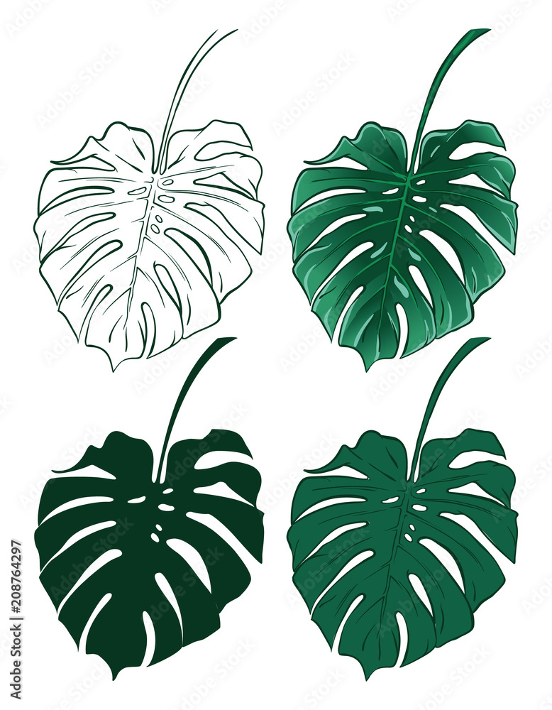Set of Contour Illustration of Monstera Leaves. Tropical Flora