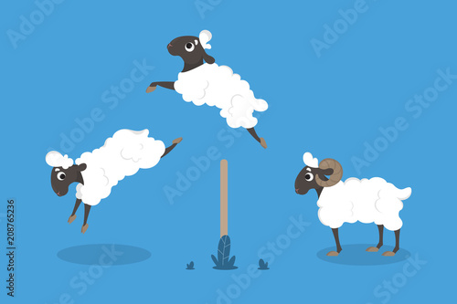 Isolated jumping sheep.