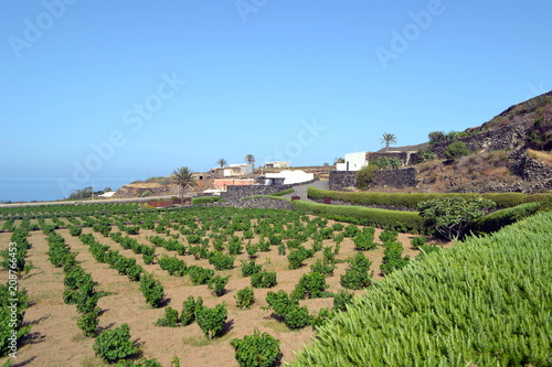 Pantelleria