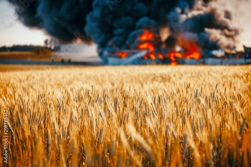 Huge fire among gold wheat fields