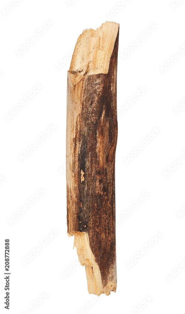 Tree stick isolated on white background Tree stick isolated on white background