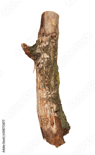 Part of tree stick isolated on white background
