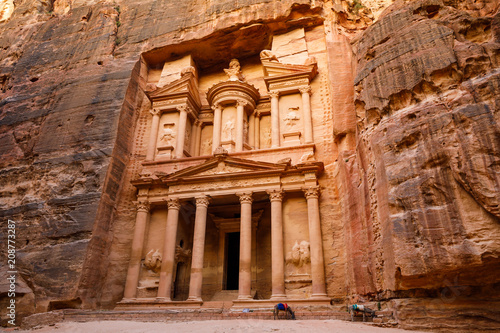 Donkey in front of Treasury Building in Petra Jordan