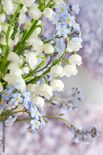 Fototapeta Naklejka Na Ścianę i Meble -  Maiglöckchen