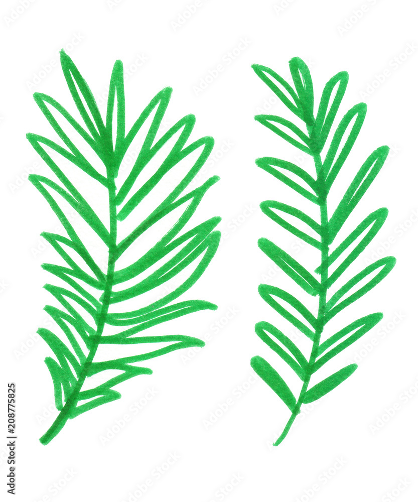 Set of two bright green simple abstract palm tree leaves painted in green highlighter felt tip pen on clean white background Set of two bright green simple abstract palm tree leaves painted in green highlighter felt tip pen on clean white background
