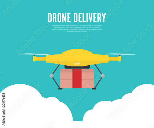 Drone delivery with the package.