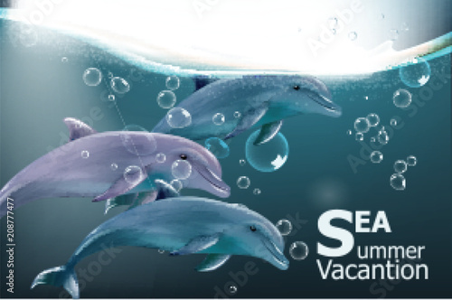Summer card with dolphins Vector. Under water sea travel card vacations