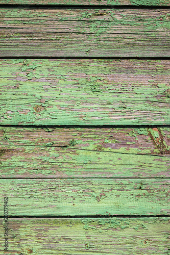 Wallpaper Mural Old shabby wooden background with flaking green paint Torontodigital.ca