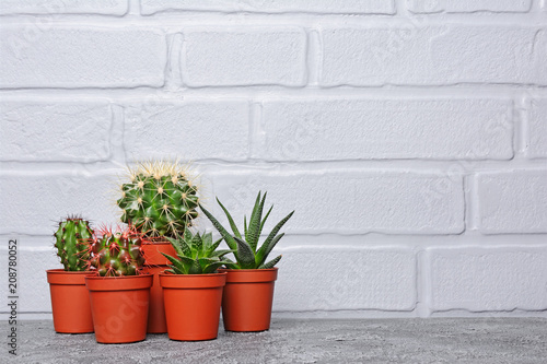 Set of small cacti in red flower pots with copy space
