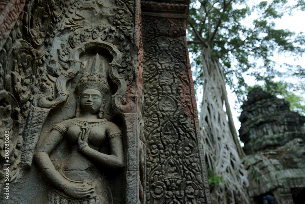 CAMBODIA SIEM REAP ANGKOR TA PROHM TEMPLE