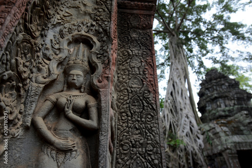 CAMBODIA SIEM REAP ANGKOR TA PROHM TEMPLE