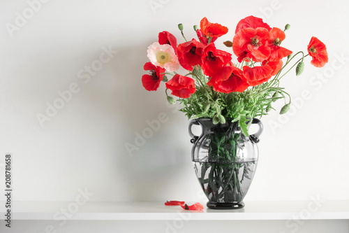 Beautiful flowers in a glass vase on a white wall background. Bouquet of wild red poppies. Space for your text. 