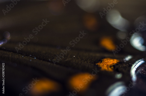 butterfly wings at higher magnification