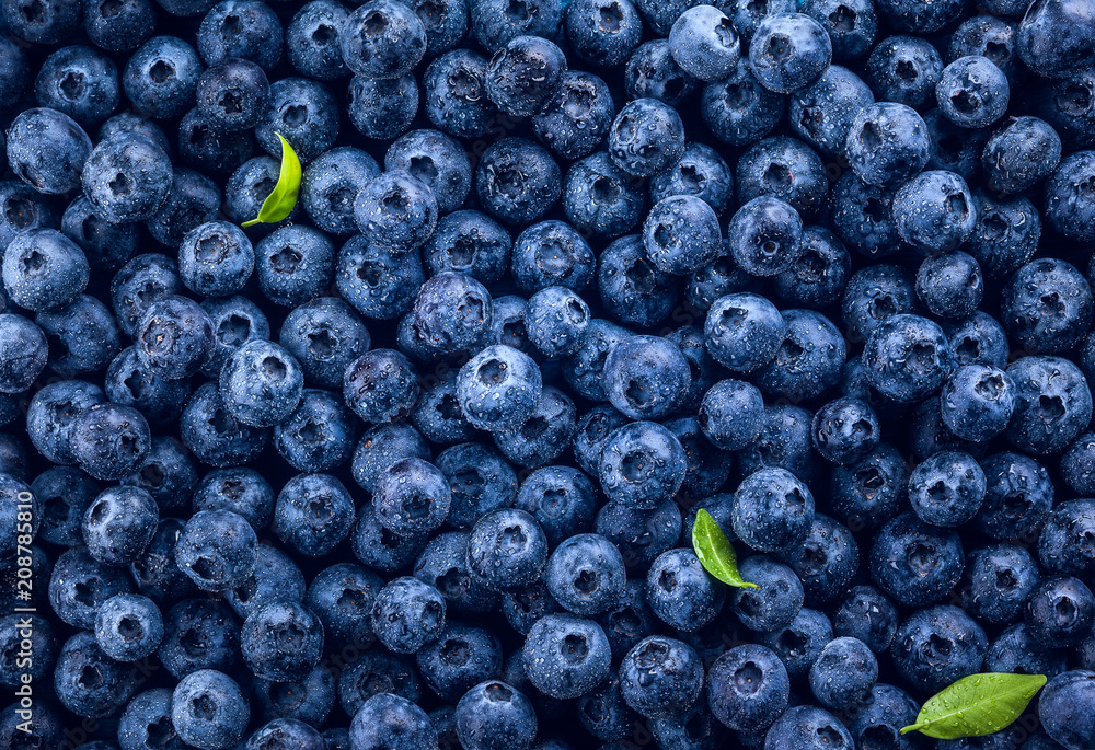  Fresh blueberry - obrazy, fototapety, plakaty 