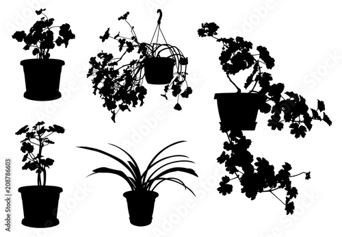 Set of different flowers in pots isolated on white