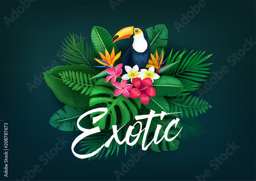 tropical banner with toucan