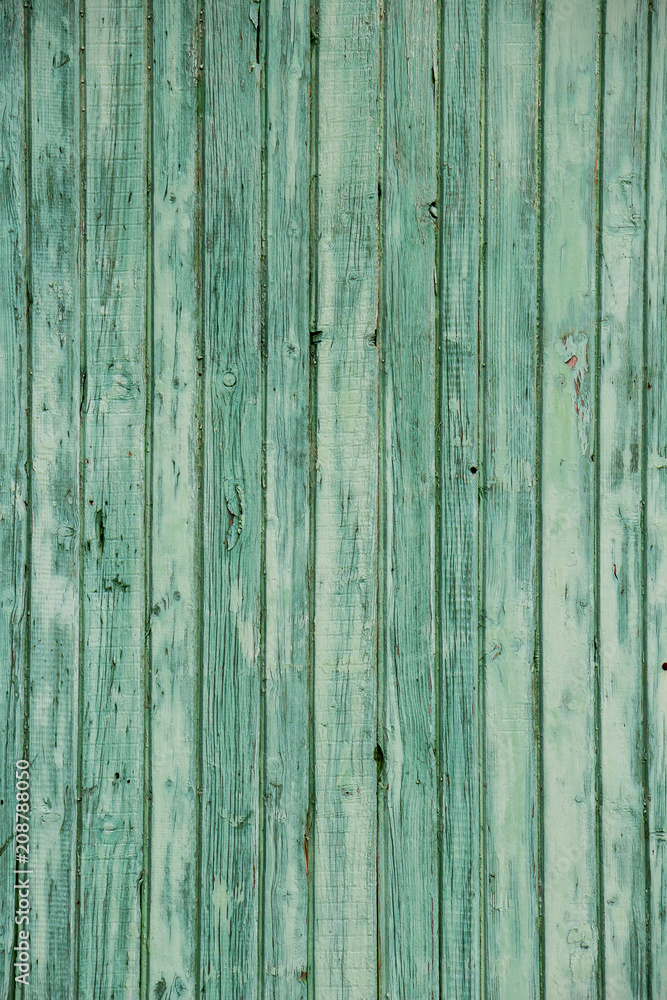 Fototapeta premium Vertical green painted wooden planks texture background