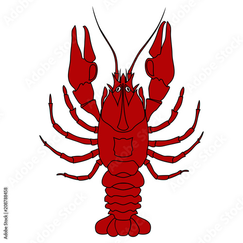 Crayfish (red)