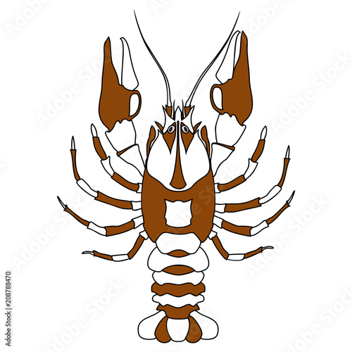 Crayfish