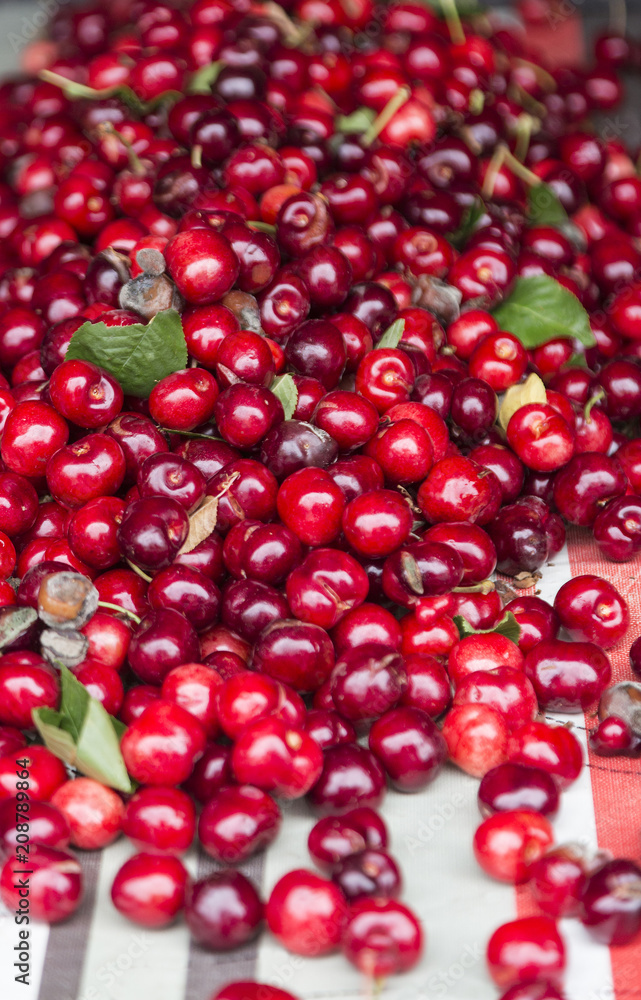 Cherries Cherries