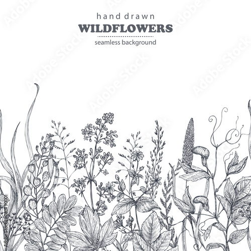 Vector seamless pattern with hand drawn herbs and wildflowers