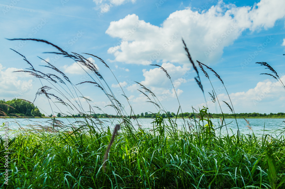 Fototapeta premium Jezioro