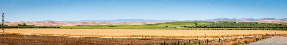 A panoramic of a wheat field with a vineyard, mountains and a blue sky. A plowed field is in the foreground.