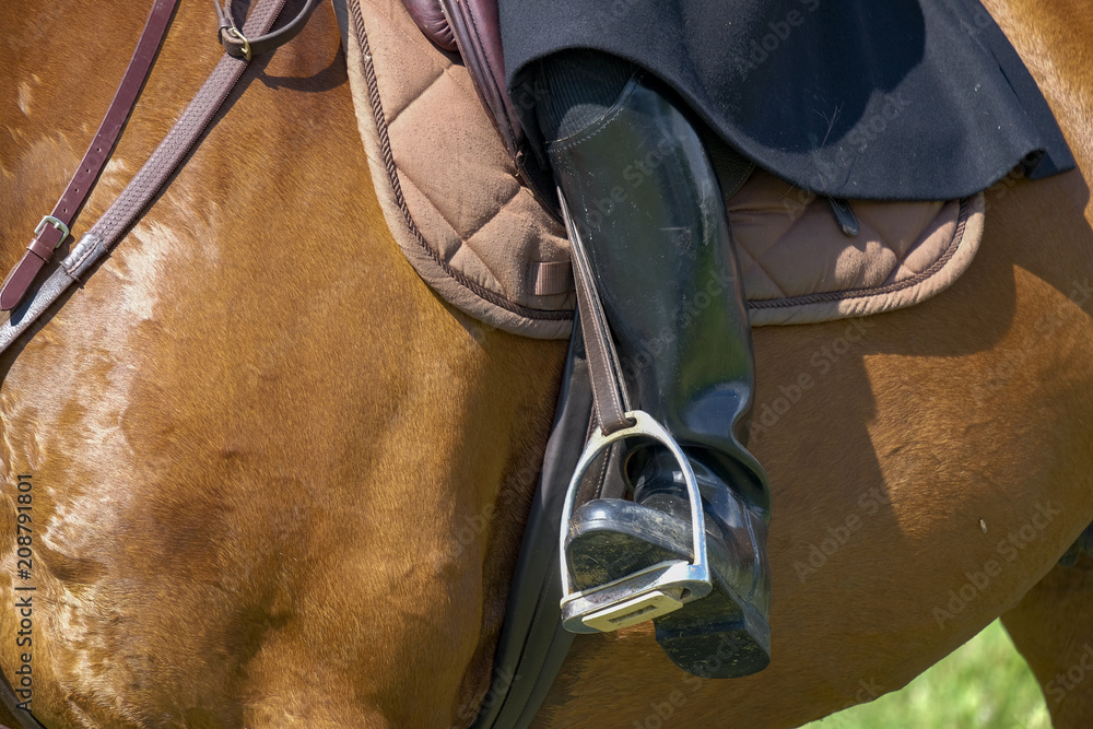 Obraz premium bottes de cheval