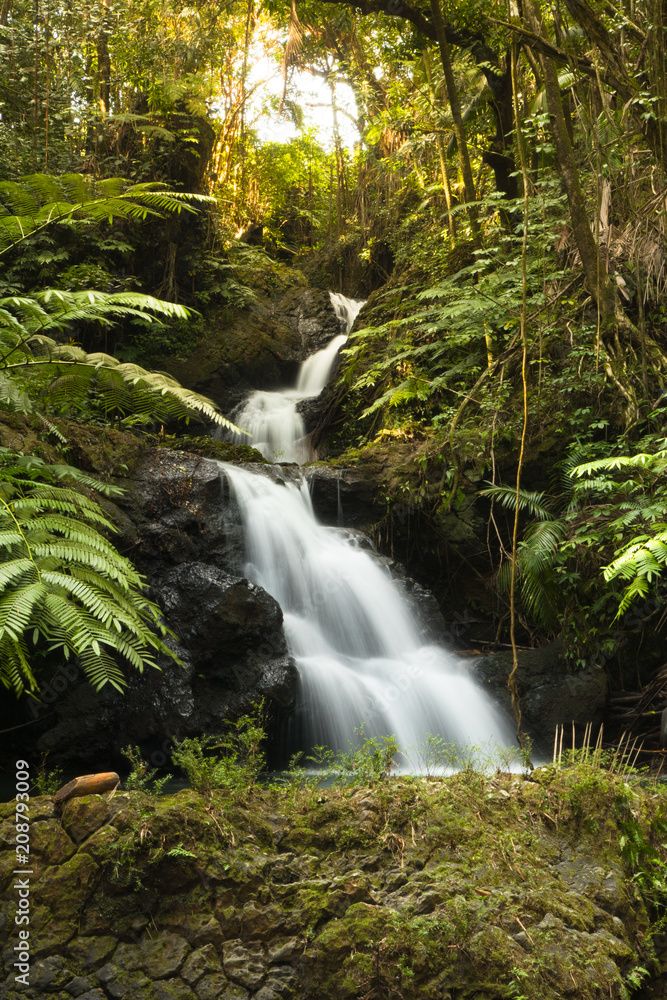 Hawaii Waterfall