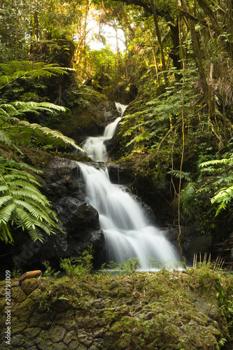 Fototapeta Naklejka Na Ścianę i Meble -  Hawaii Waterfall