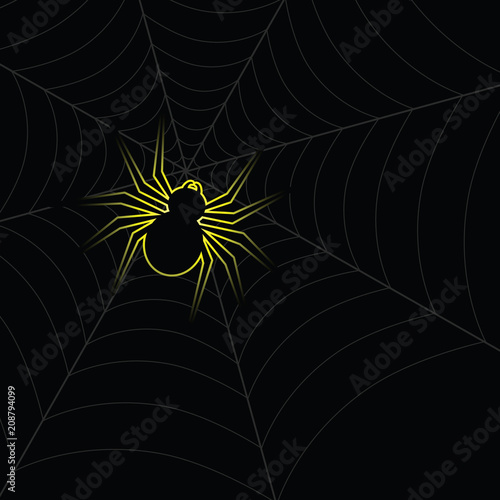 spider on web illustration