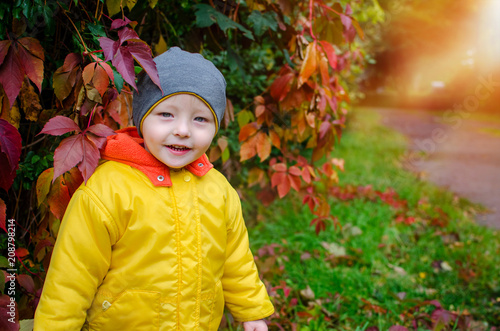 Little boy in the autumn park