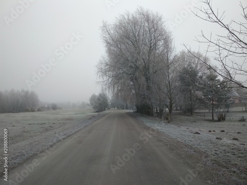winter road